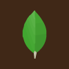 MongoBD icon